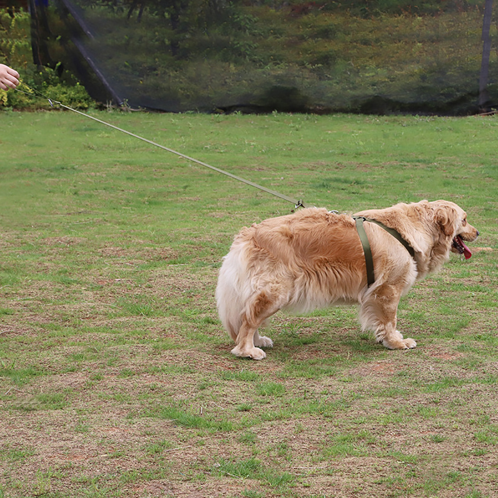 Pet Harness for Large Dogs, Cross-Border, Pet Supply Wholesale, Dog Harness, Dog Leash, Dog Chain