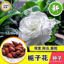 ɢ�b�d�ӻ��N�� ���|�S�d�ӷN��С�d�ӻ�ɽ�d�� �חd�ӻ��������l