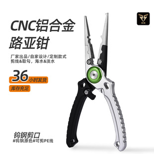 Ұឺ���X�Ͻ�·���Q ���y�OӋ �u䓼��� �� PE �� ժ�h�_�h