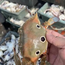 ��������з ��з�� �O�����Ƽ����i�r�������~�Mœһ�����lֱ����