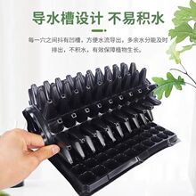 �Ӻ�����Ѩ�P�N�ˌ����бP�I�B�߲��������NǤ���������������ݮ