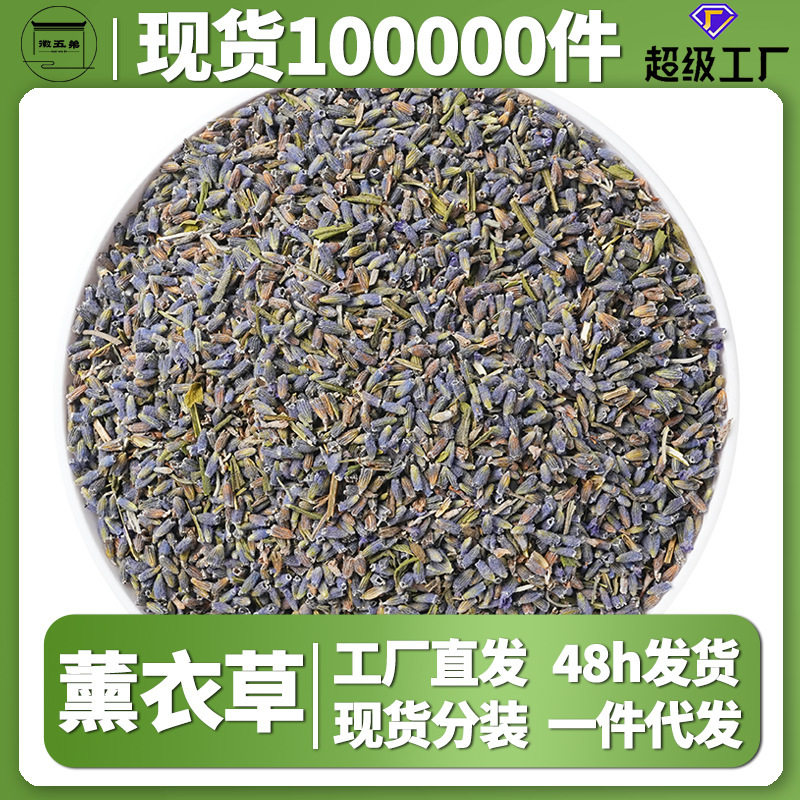 Huiwudiyi Farmhouse Lavender New Crop Dried Flowers Direct from the Source Factory, In-Stock, Multiple Products, Chrysanthemum Tea, Chrysanthemum Flower Tea Huiwudiyi Farmhouse Lavender New Crop Dried Flowers Direct from the Source Factory, In-Stock, Multiple Products, Chrysanthemum Tea, Chrysanthemum Flower Tea