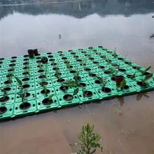 水上人工浮岛 河道绿化污水处理浮床浮板 承接安装设计施工工程
