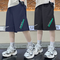 Cross-border Korean Version Boys Summer 2024 Cute Ice Silk Shorts for Boys, Quick-Drying Children's Fashion Sport Shorts