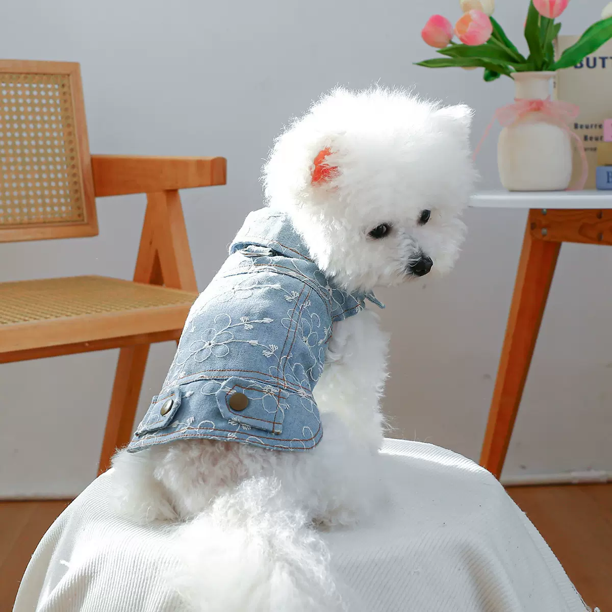 PETCIRCLE宠物圈厂家现货直销外贸批发宠物狗狗衣服刺绣钩花牛仔