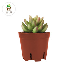 ֱ߅��ϫ�����ϻ���A�μӺ�С̖͸��I�B�����ԏS�����l