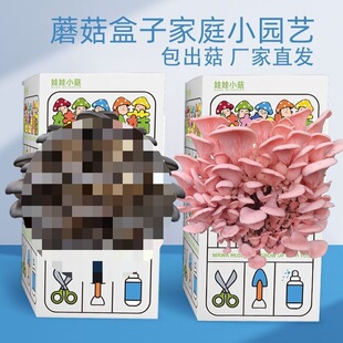 Ģ������diyĢ������ƽ�����Nʳ�þ���ͥ�Nֲ��ͯ�YƷ������