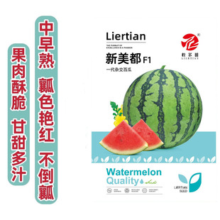 �������ϷN��������Нh����ϴ������¶�طNֲ����������������