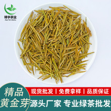 2025明前黄金芽茶叶新茶安吉工艺特级一芽一叶散批礼盒装商用
