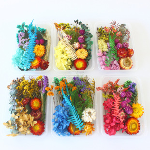 ������diy�ɻ����ϰ� ��Ѭ���λ� �H�ӻ�ӻ��� ���F�ȉ������