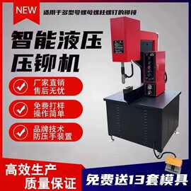 液压自动送料铆钉机螺钉螺母螺柱螺杆钣金件送料精密压铆机