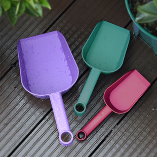 Դ�^���S�@ˇ���߼�ͥ�N�����P�P���B��С�P��؈ɰ�P�Ӻ������P��