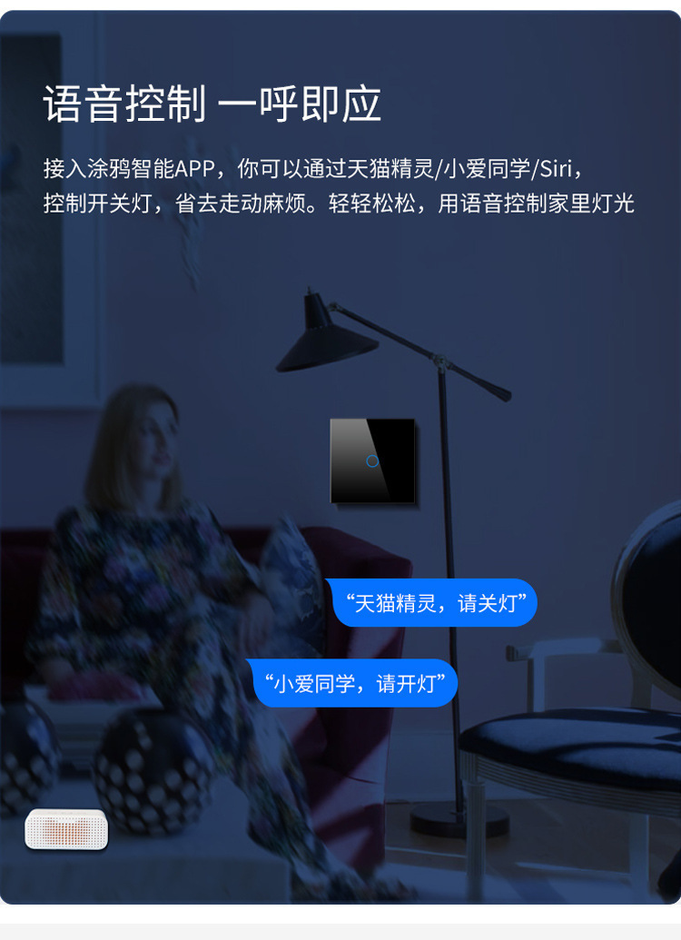 Cozylife WiFi Smart Switch Timer 2.4G Remote Control 16A Switch Mini Intelligent Switch