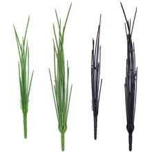 ����ֲ�����֦�ɻ��U�F�z���ϲ廨�҃�ֲ���쾰�����bS�����l