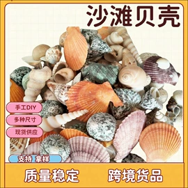 沙石砾石;海螺/贝壳;石膏工艺品