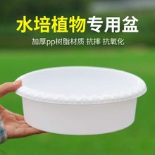 ˮ�ɻ��������~�X��ˮ��˯ɏһ�~ɏ��ɏ���X��ˮ�B�������֬�o��