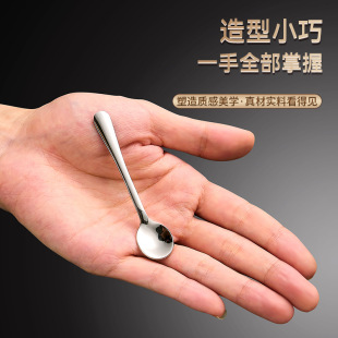 304 Stainless Steel Spoon 7.5 Long Mier Small Round Spoon Medicine Spoon Stirring Spoon Honey Seasoning Spoon Manufacturer Wholesale