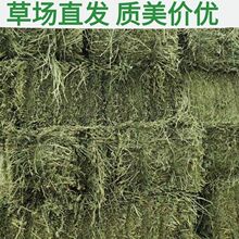 �ϻ���ޣ�����l �ϻ���ޣ�ݰ�ι�B���ţ�R��ߵ��׸�������