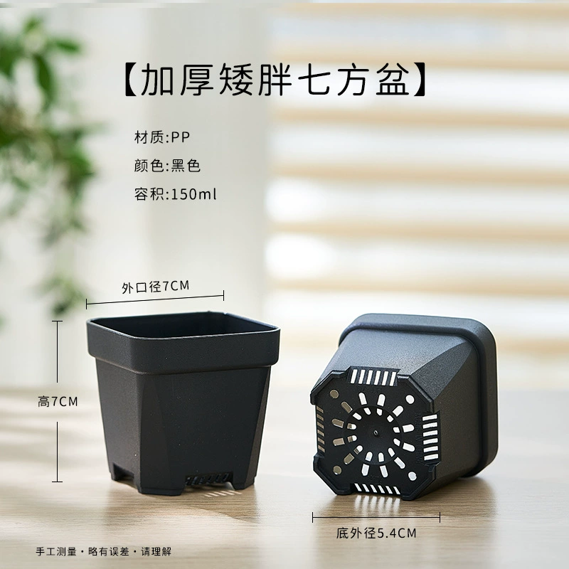 Горячие продажи водопроницаемая осьокорова Escargot Pot Pot Pot Плохой блюдо пластик пластик пластик пластик пласт пластинки Вставка Рули Пот Низкий