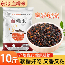 东北血糯米10斤黑糙米杂粮黑糯米当季新米包粽子粘黏糯米紫糯批发