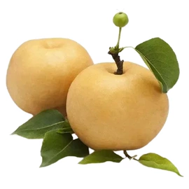 块茎类;苹果;其他水果