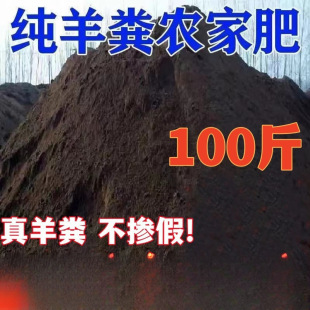 �l����S���ЙC���u�S�ʷN�˹���������B���u�����r�����l