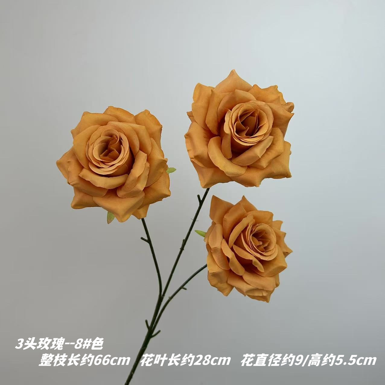 8 # 색상