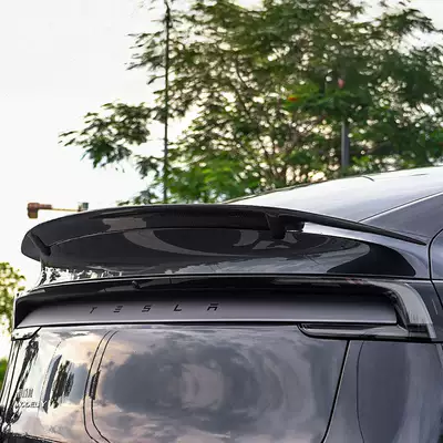 and the True Carbon Fiber Rt – Spoiler
