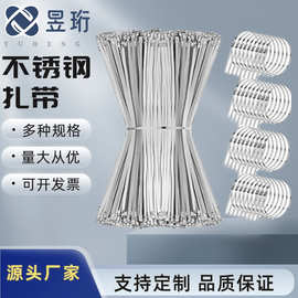 104件套不锈钢扎带钳自锁式裁断机收紧器电缆扎带枪捆扎工