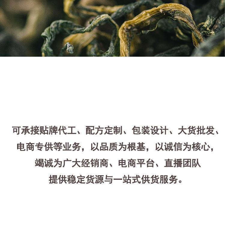 Dandelion Root Tea Loose Bulk 1kg Changbai Mountain Dandelion Herbal Tea in use