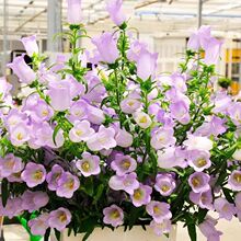 �������L⏲ݷN���L⏻��޸����ܵ����L⏻��ͺ����ܷN���׻��ļ�