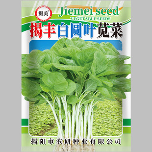 ���S�׈A�~�{�˷N�� �߲˷N�� ԭ�S�ʴ����b500���b�G�{��