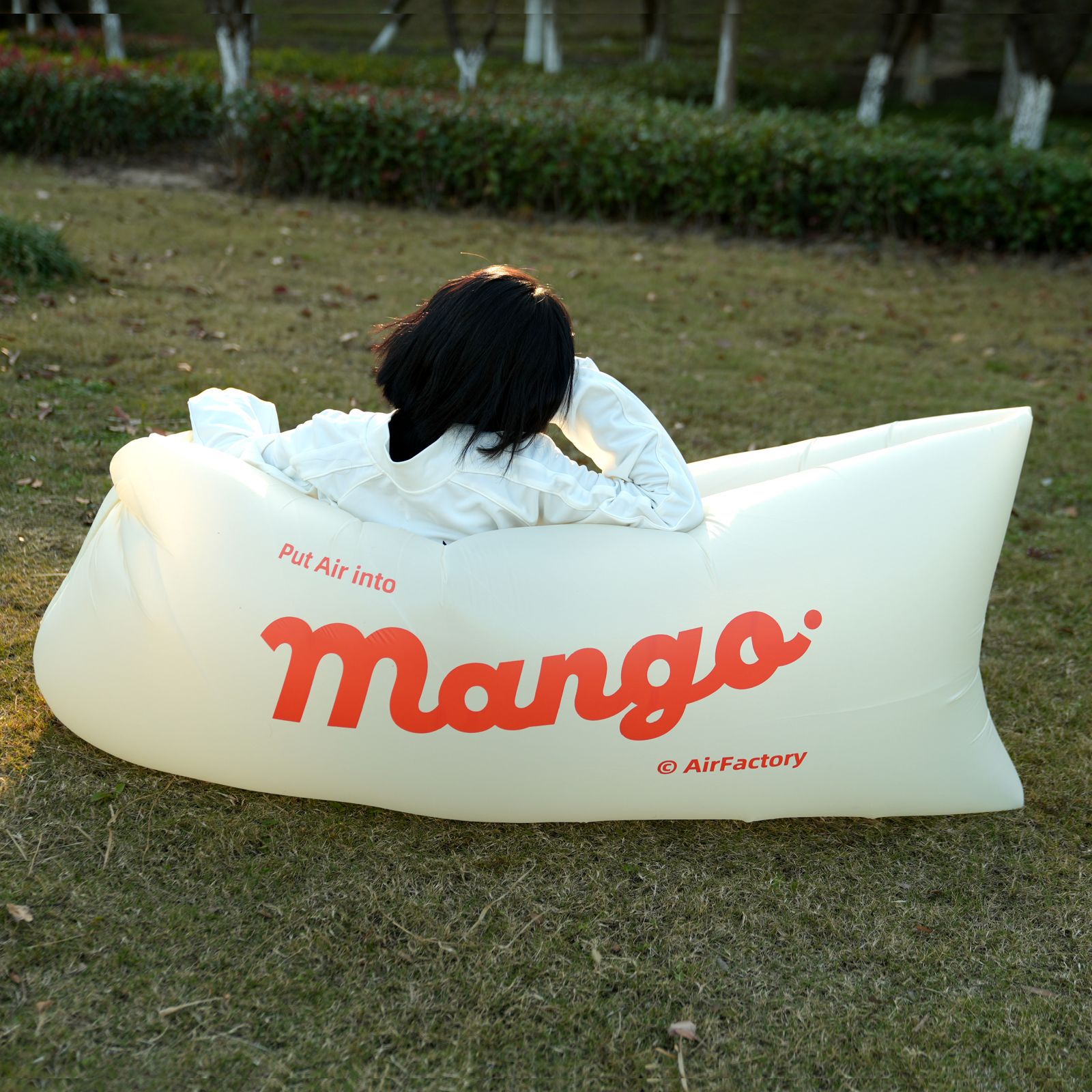 망고 노란 망고