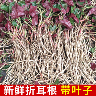 �Ĵ�Ұ���۶�����ϴ�����������r�~�Ȳ��۸����~�ӬF�ڬF�l�F��