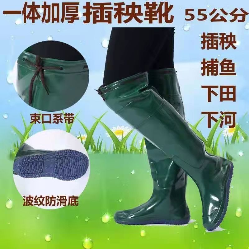 55cm 녹색 모닝 부츠 일반 사이즈