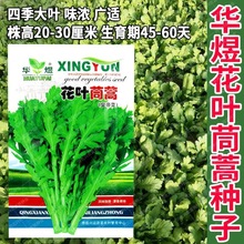 �A�ϻ��~����N���ļ����������˴��~����N�ѻʵ۲˾ջ����߲���