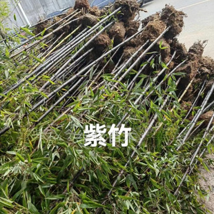 ���ش������l�������������S���B���u��ư�����S����@��