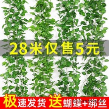 ���l���üٻ��b��{ˮ�ܵ��ٗl�ړ����~�G�}��������bGֲ