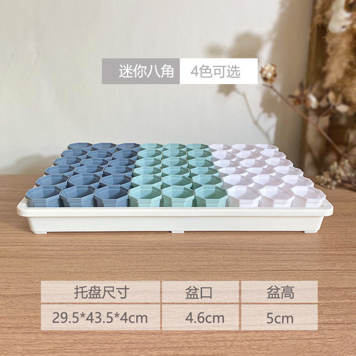 White simple plastic succulent flower pot 4.6 mouth mini octagonal pot stone flower soaking pot frame light bulb hair finishing tray