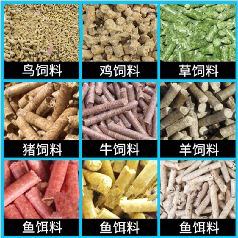颗粒展示 (2).png