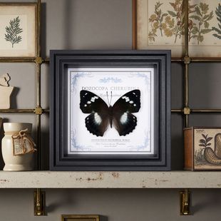 �����˱�����ʽ�Ҿ��b���Ϧ���˹�����Ů�������նY�����x�˱�