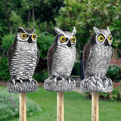 Spot Factory Owl Sowl Sharing Away Birds Fake Owl ScareRow Outdoor Garden Balcon
