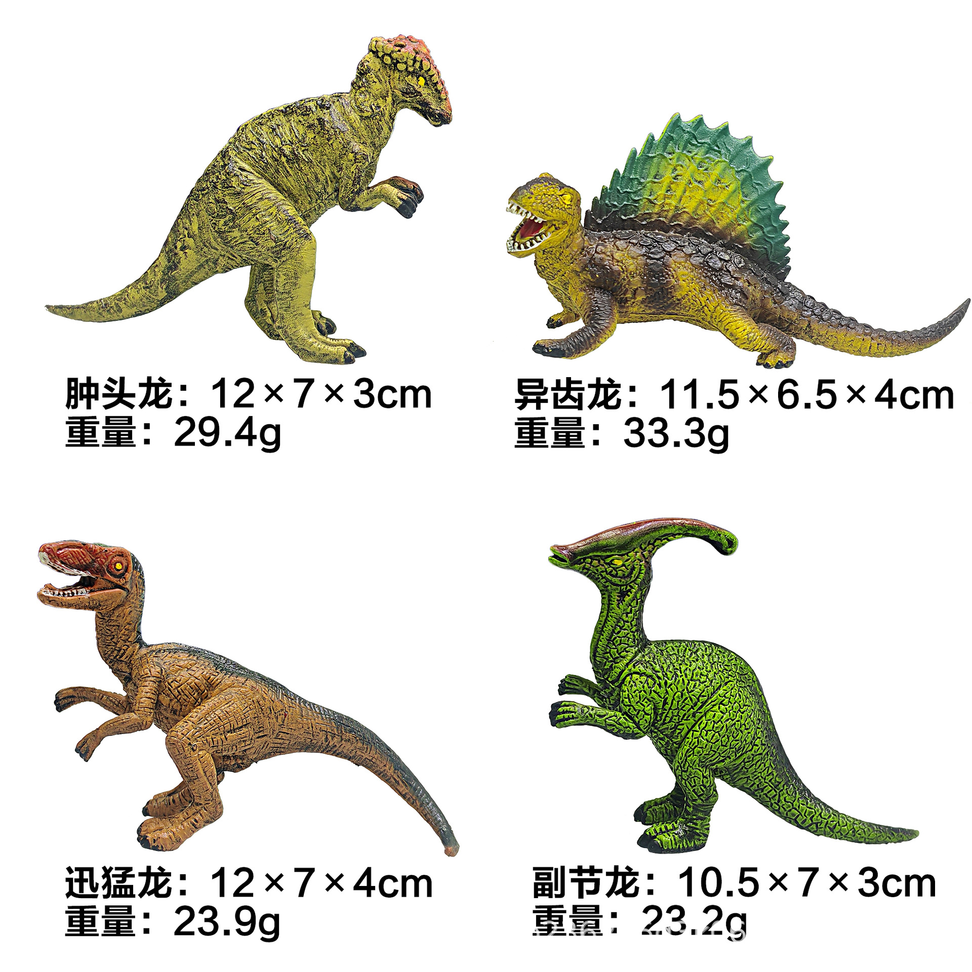 디메트로돈/파키케팔로사우루스/벨로시랩터/파라사우롤로푸스 각 1마리