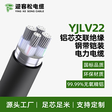 ӭ����YJLV22�o���Xо������ϩ�^��������ϩ�o��䓎��z�����|