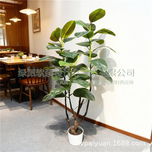 �������m����Ƥ���Ӣ��͏d������Է��b�ꙻ���Gɫ��ֲ�����~��