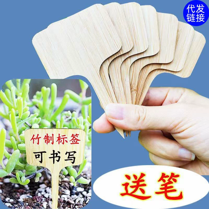 Садоводство Этикетка Бамбуковая Деревянная Тарелка Плиты Завода Цветочная Бирка Рассады Мясистый Т Этикетка