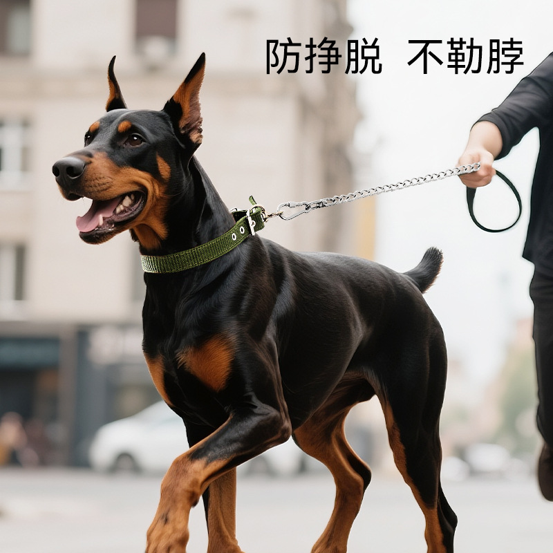 Cuerda de tracción de cadena de perro de acero inoxidable, collar, cadena de hierro, anti-mordedura, larga y antioxidante, cadena de perro, cuerda de tracción de salida de perro