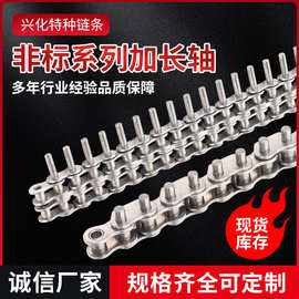 非标系列加长轴链条短节距滚子输送链工业设备传送链滚子链加长销