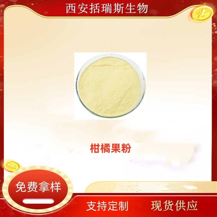 柑橘果粉  橙子果粉 水溶好   欢迎咨询 喷雾干燥