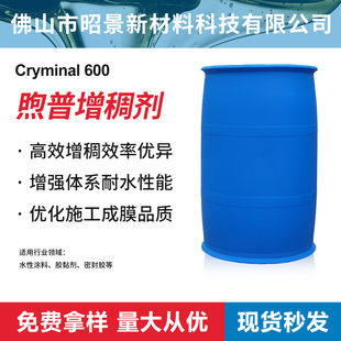 ����Cryminal600�h���|��Û���턩ˮ�ԉT���z𤄩�����ASE60